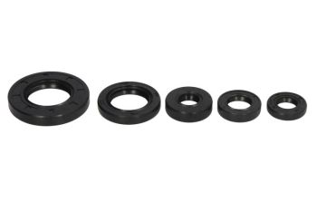 WINDEROSA Mootori tihendid komplekt WINDEROSA sobib HONDA 500FM, 500FM (Fourtrax Foreman 4x4), 500FM IRS, 500FM Solid Axle, 500FPM, 500FPM (Fourtr. Foreman 4x4 ES)