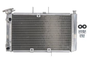 Radiaator RAD-614 sobib TRIUMPH 800, 800XC