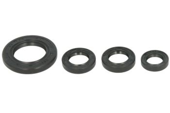 Mootori tihendid komplekt WINDEROSA sobib HONDA 250F