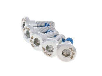 pan head screw M8x24/18 for brake disc - set of 5 pcs