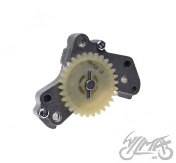 Õlipumba komplekt mootorile LF120