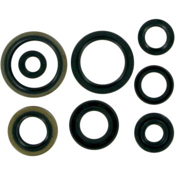 MSE MTR SEALS RM125 98-