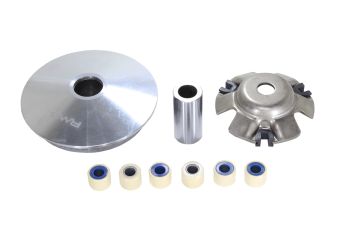 WARIATOR KYMCO AGILITY SUPER 8 PEOPLE 125 150 200 13gr. RMS