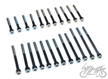 BOLT SET, ENGINE MZ250