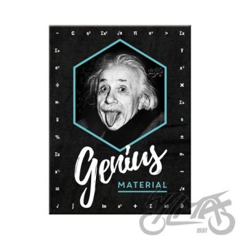 MAGNET EINSTEIN GEENIUS MATERJAL14395