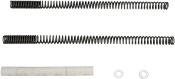 FORK SPRINGS DUAL SPORT