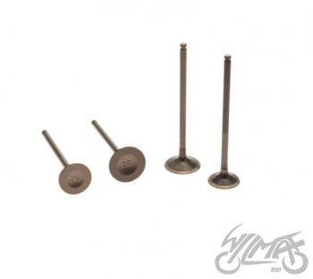 VALVE SET, IN.&EX. , ZONGSHEN DT190 ENGINE
