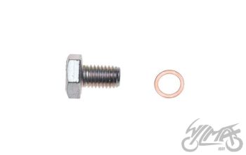 Rometi õli väljalaske polt