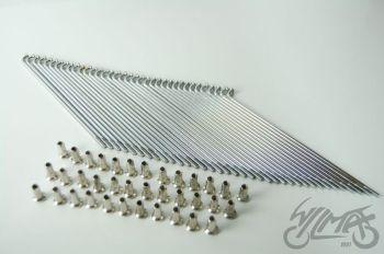 Kodara komplekt 36 tk