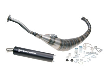 exhaust Tecnigas G-Box for Yamaha TZR, Aprilia RS50, Rieju RS (AM6)