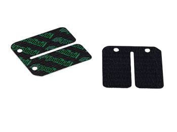 carbon reed petals Polini for Minarelli vertical