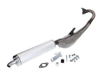 exhaust Tecnigas Next-R for Honda Wallaroo