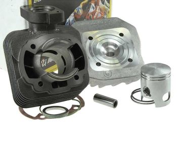 cylinder kit Malossi sport 50cc for Peugeot vertical AC