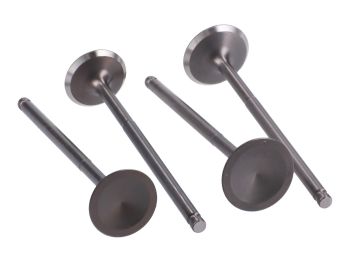 cylinder head valves Naraku 21/23 for Yamaha X-Max, YZF, WR 125 4V