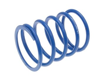 torque spring Polini -10% for Kymco Xciting 500