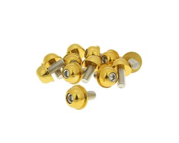 Poldid 12tk Alu-kaas gold - M6x13