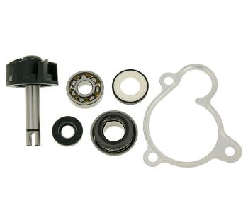 water pump repair kit for Majesty, X-Max, X-City, Versity 250