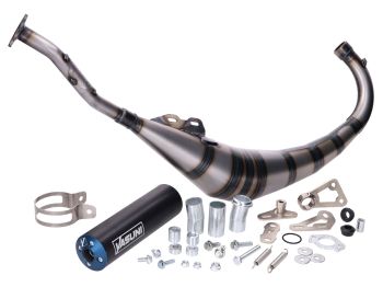 exhaust Yasuni R2 MAX PRO Blue for Aprilia RS 50, Yamaha MBK TZR 50, Rieju RS2, RS3 Nacked/ Pro Minarelli AM6