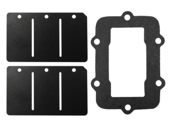 Sno-X Reed valve repair kit Ski-Doo