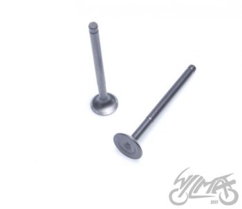 Klapi komplekt, sisse- ja väljalaskeklapp 4T mootorikoodiga JJ1P39QMB