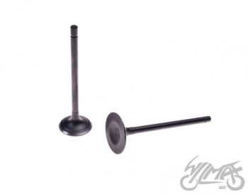 Klapi komplekt (sisse ja välja) - CG200, 163FMM/ML