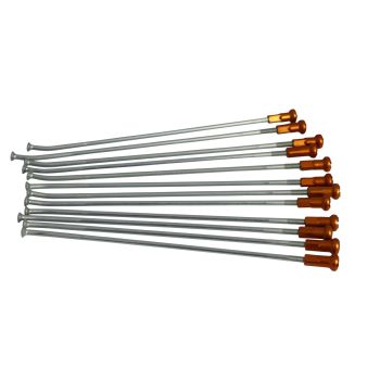 SPOKES 18 RR SI/OR NIP (12PK)