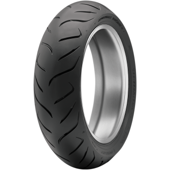 RDSM II 160/60ZR17 (69W) TL