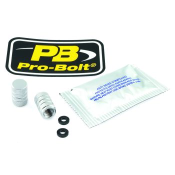 VALVE STEM CAP SL