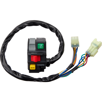 SWITCH BLOCK ASSEMBLY CANAM