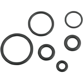 O-RING KIT EFI FUEL LINE