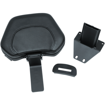BACKREST DRV OMNI 18+ GL