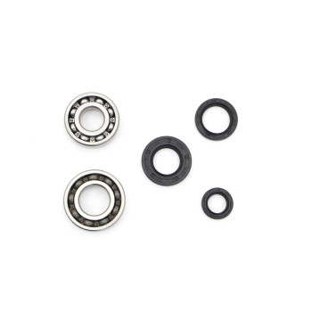 CRANKSHAFT BEARINGS