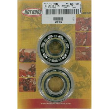 BEARINGS CRANK