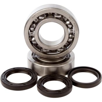 BEARINGS CRANK TRX450