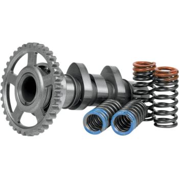 CAM CRF150R 07 STG 1