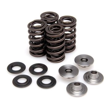SPRING KIT KX/RMZ 250