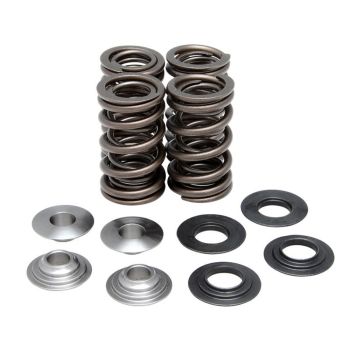KIT VALVESPRING RAPTOR700
