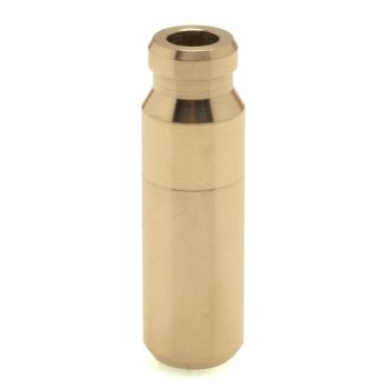 GUIDE VLV IN STD08CRF250R