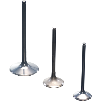 VALVE EX TITAN YZ/WR250F