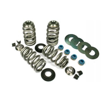 VALVE SPRINGS BHIVE 05-14