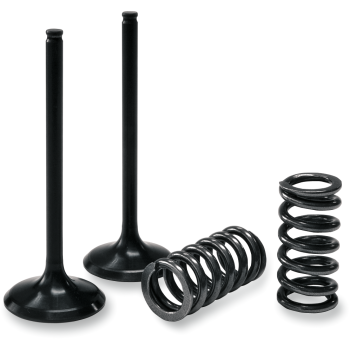 VALVE IN/SPRING KIT SX-F/EXC-F