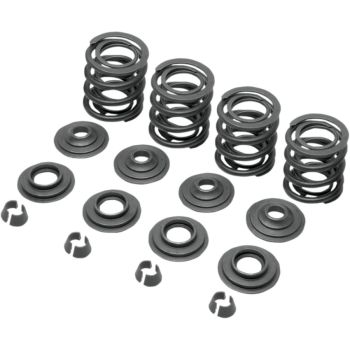 SPRING KIT VLV OE 66-83BT