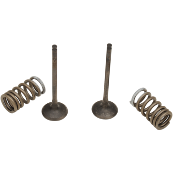 VALVE EX/SPRING KIT RM-Z250