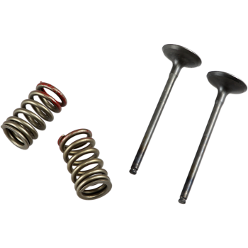 VALVE EX/SPRING KX250F+RMZ250
