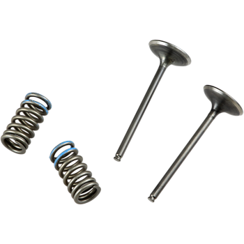 VALVE IN/SPRING KIT CRF250R