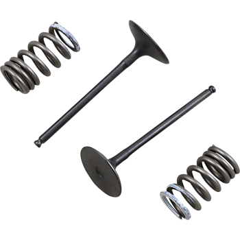 VALVE IN/SPRING KIT RM-Z250