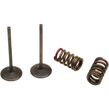 VALVE IN/SPRING KX250F+RMZ250