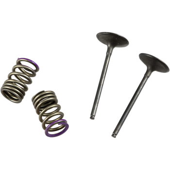 VALVE IN/SPRING KIT KX250F