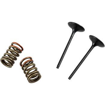VALVE IN/SPRING KIT KX250F