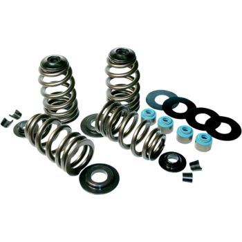 VALVE SPRINGS ECONO 85-04